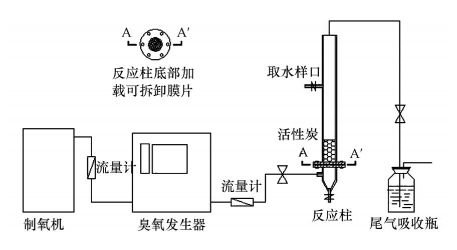 一区二区三区水蜜桃+活性炭实验方案